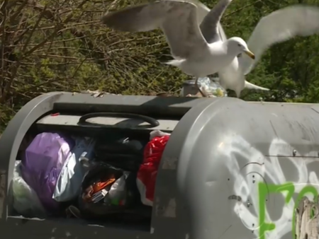 Криза с боклука във Варна