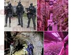 На километър под земята расте канабис. Служители на ГДБОП обаче арестуваха трима от престъпната група