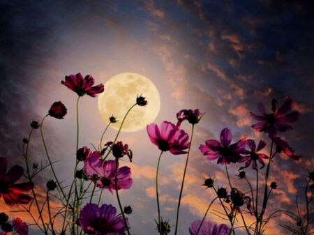 Край на кутсуза за тези 3 зодии след 1 май 2026 г.