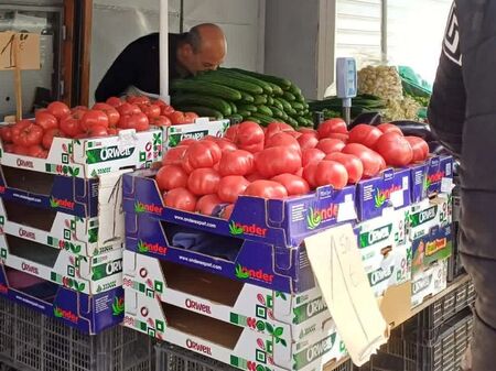 В ромското гето в Пловдив доматите са на най-ниските цени в България