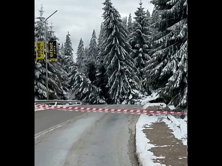 Затвориха пътя Смолян-Пампорово заради пропадане на платното (ВИДЕО)