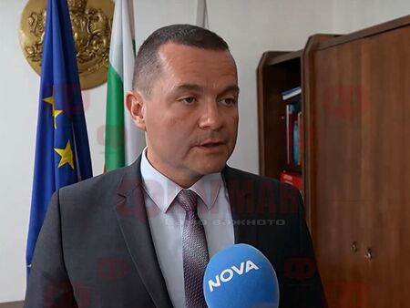 Нашествие от комари по Дунав: Проблеми с обработката на ларви и неефективни мерки за контрол
