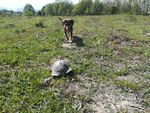 Синоптици: Седмицата започва със слани, но се гответе за...