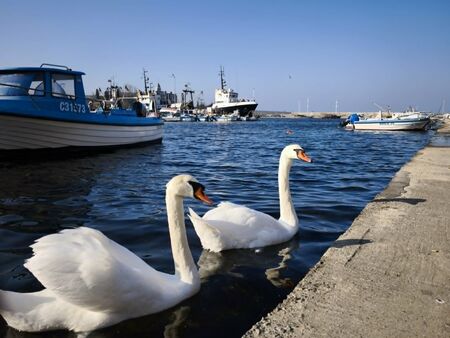 Турски учени предупредиха, че Черно море ще се затопли сериозно. Какво означава това?