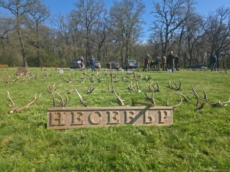 Преглед на паднали рога от благороден елен през 2026 година в ДЛС Воден Ири-Хисар