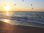 Пролетно време с приятни температури, но следобед облаците ще донесат валежи в някои райони на страната