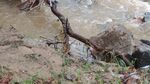 Спасиха 17-годишно момче, попаднало във водата в Търново