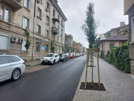 Засаждат нови дръвчета по ул. „Асен Златаров“ в Бургас