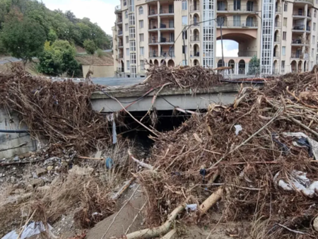 Съпругата на Пламен Бобоков блесна в галерията на Ники Младжов (СНИМКИ)