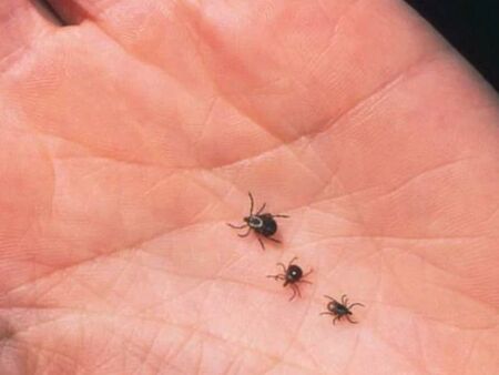 Съпругата на Пламен Бобоков блесна в галерията на Ники Младжов (СНИМКИ)