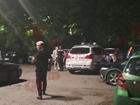 Лекар превърна в ад живота на цял блок, развъжда над 30 кучета в апартамента си, а майка му гние бавно и мъчително