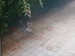 Наглец задигна колело, не успя да разбие катинара и го носи през центъра на Бургас на гръб (ВИДЕО)