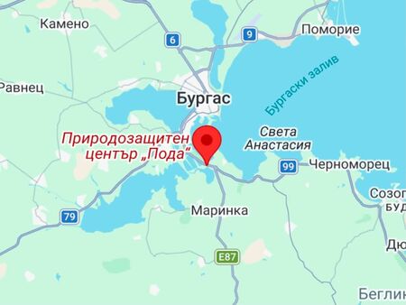 Извънредно! Огромна трагедия по пътя Созопол-Бургас - трима са на косъм от смъртта