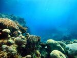Голяма опасност във водите на Егейско море край Атина и Централна Гърция