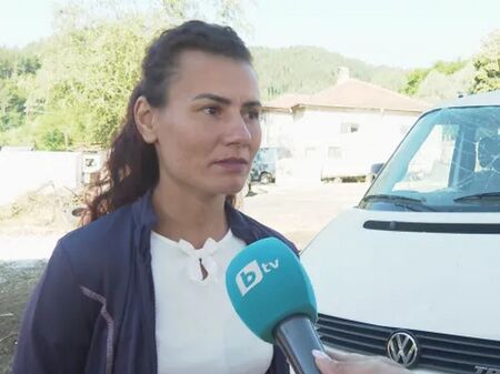 Секунди между живота и смъртта: Дърво премаза кола в движение край Джебел, а полицията шокира шофьорката с абсурден отказ!
