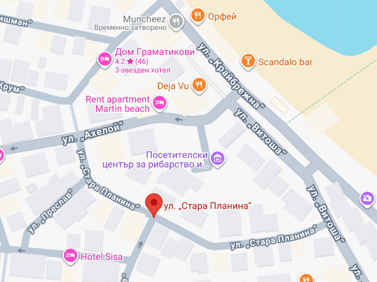 Агресивно четириного нахапа домашен любимец а собственикът му реши да