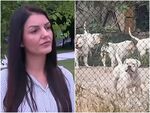 На снимката са дъщерята на пострадалата и част от кучетата, които вече са в общински приют