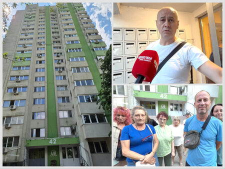 Адът с кучетата в блок 42 в ж.к. "Зорница" продължава, Флагман.бг притисна д-р Юлиян Киров