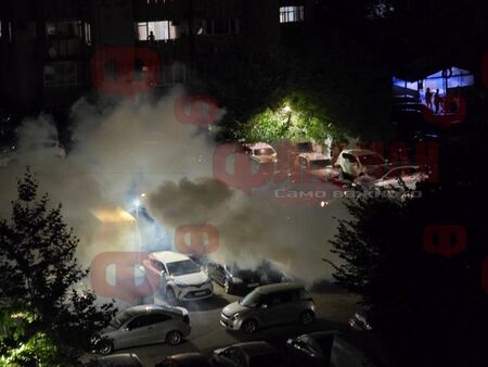 Внимание, бургазлии: Пръскат „Богориди“ и „Александровска“ срещу листни въшки този петък