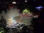 Внимание, бургазлии: Пръскат „Богориди“ и „Александровска“ срещу листни въшки този петък