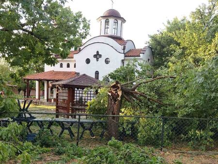 Буря в Ямбол: Дървета смазаха коли, улиците се превърнаха в реки
