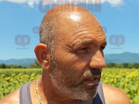 Джип помете стадо край Казанлък: Две овце загинаха, разследват жестокост