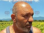 Джип помете стадо край Казанлък: Две овце загинаха, разследват жестокост