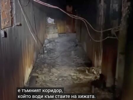 „Ужасът Петрохан“ скоро ще събере отново всички пред екраните