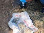 Спипаха осъждан мъж с марихуана за 5820 евро, част от нея била заровена в дупки