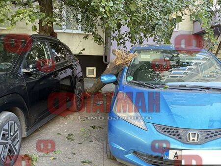 Дърво се стовари върху паркиран автомобил пред блок 21 в жк. "Славейков"