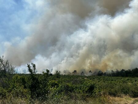 Пожар край АМ Тракия при Церово, шест екипа гасят