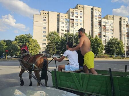 София 2026: Каруца се нареди първа на светофара в Красна поляна
