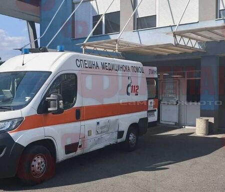 Жена е с фрактура на черепа след удар на зебра в Бургас, блъсната е и 82-годишна в Слънчев бряг
