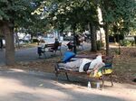 Сигнал до Флагман.бг: Клошари окупираха пейките край шадравана в Морската градина