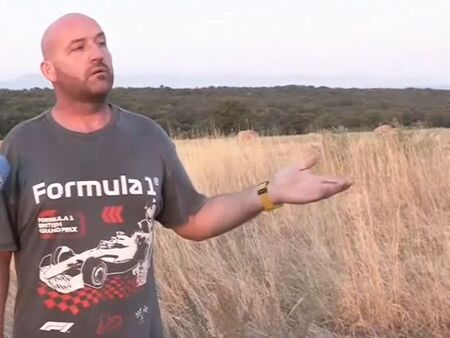 Вълк всява страх в Монтанско: Кучета и кози изчезват едно след друго