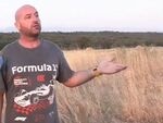 Вълк всява страх в Монтанско: Кучета и кози изчезват едно след друго