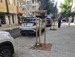 Тойотата на нахакана млада дама, заемаща две паркоместа в Бургас, вбеси съседите й