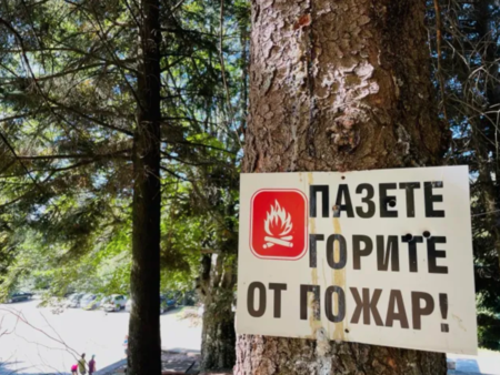 Серия от горски пожари в Харманлийско и Сливенско: Стотици декари са засегнати (ПОДРОБНОСТИ)