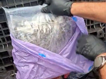 Заловиха над 300 кг дрога край Ченгене скеле: 238 пакета марихуана и над 110 със съмнение за кокаин (ДОПЪЛВА СЕ)