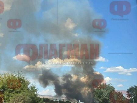 Две коли станаха на пепел при пожара край Бургас, изгоря и пчелин