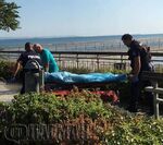 ОДМВР-Бургас с подробности за трагедията край Моста: Починалата е 75-годишна бургазлийка