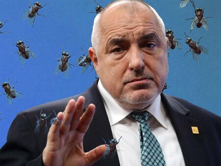 Повелителят на мухите им се разсърди, че са такива, каквито ги събра