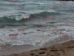Черно море взе нова жертва