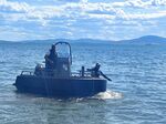 Драма с щастлив край край Поморие: Спасиха бедстващ делфин в Кротиря
