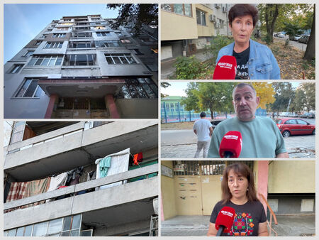 Жители на бургаски блок проплакаха от системна смрад, наводнения и множество котки (ВИДЕО)