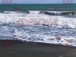 По Южното Черноморие валежите ще са продължителни