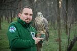 Световен рекорд в Стара Загора! Соколът Ромео живее над три десетилетия и има повече от 60 наследници