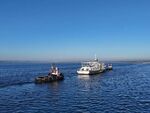 Забелязаха обект, приличащ на морска мина, южно от нос Емине