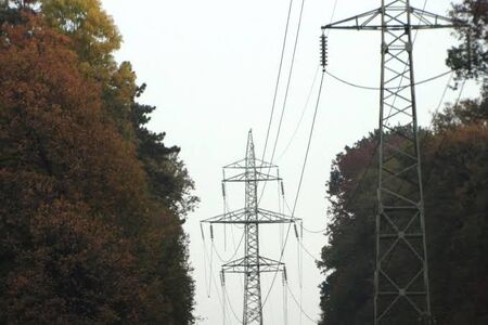 Енергото кастри дървета и клони за 170 бона в Несебър и Поморие