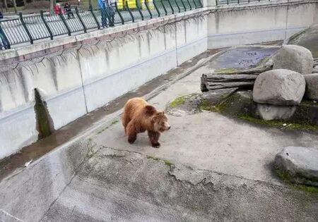Работещите в Софийския зоопарк на бунт за заплати